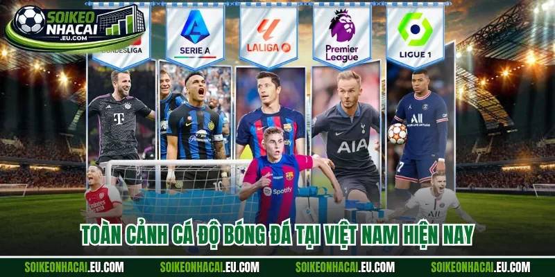 Toàn cảnh cá độ bóng đá tại Việt Nam hiện nay